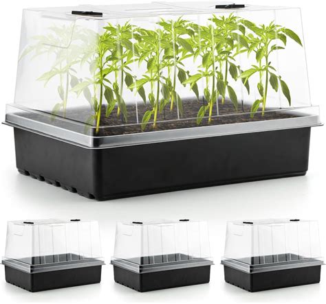 Seed Tray With Dome
