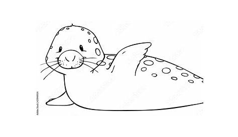 Cartoon Seehund Clipart, Bild, Illustration