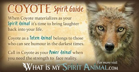 seeing a coyote spiritual meaning