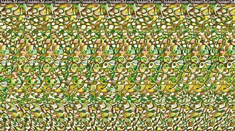 seeing objects in patterns
