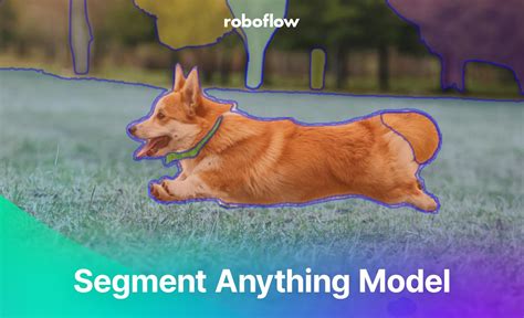 segment anything model demo