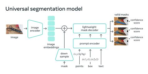segment-anything model