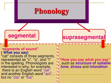 PPT Introduction to Linguistics Chapter 2 Phonology