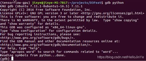 segmentation fault core dumped python open3d