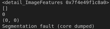 segmentation fault core dumped python opencv