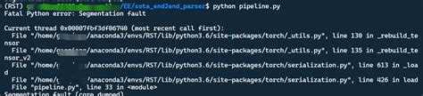 segmentation fault core dumped python pytorch
