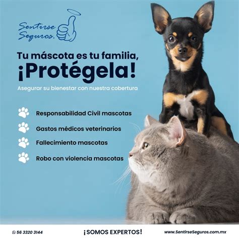 seguro de mascotas gatos
