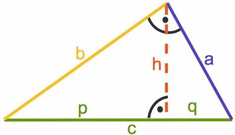 Höhe Dreieck berechnen • Höhe im Dreieck Formel & Beispiele · [mit Video]