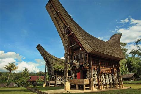 sejarah rumah adat toraja