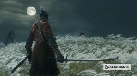 Sekiro Boss Walkthrough