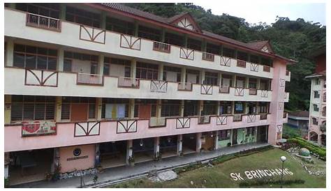 Sekolah Kebangsaan Brinchang, Cameron Highlands Pahang: SEJARAH SK