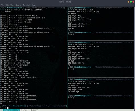 Select Socket Example C
