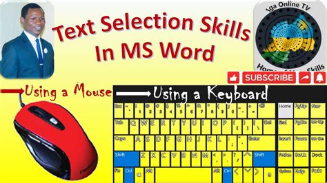 Select Text Keyboard Terminal
