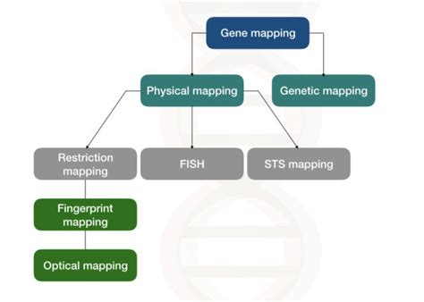 select the physical mapping methods