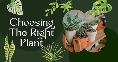 Selecting the Right Plants