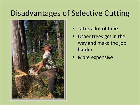 selective cutting disadvantages