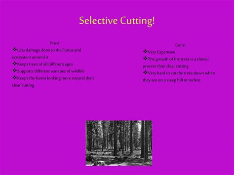 selective cutting pros and cons