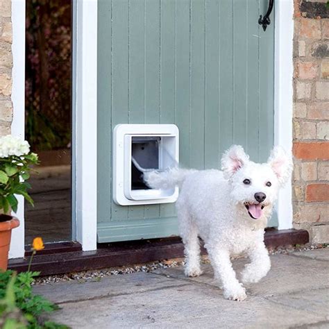 Selective Entry Dog Door