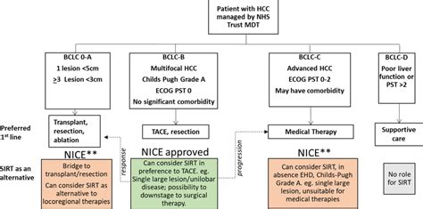  12 Selective Internal Radiation Therapy Algorithm 2023