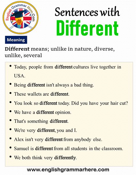 selectrovert meaning in english with example sentence