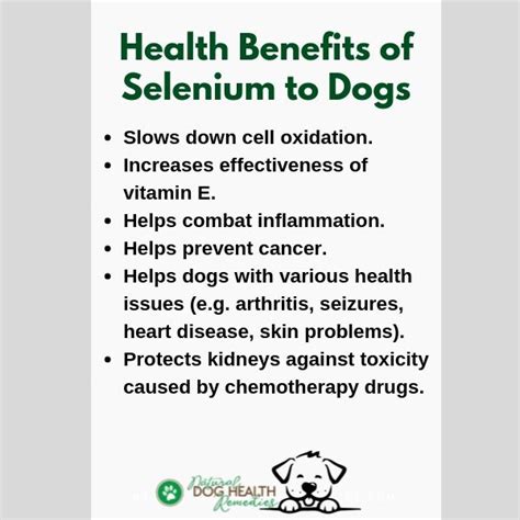 selenium benefits for dogs