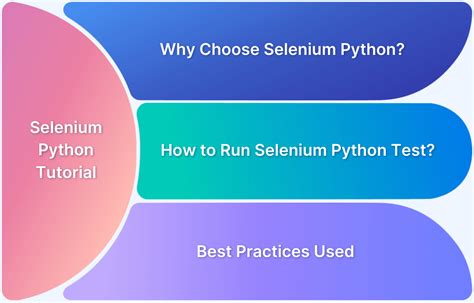 selenium best practices python