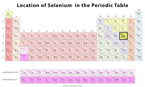 Selenium Location Of Element
