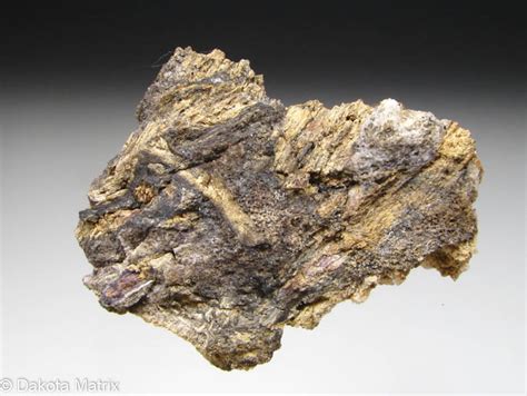 Selenium Of Rocks