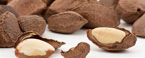 selenium poisoning brazil nuts