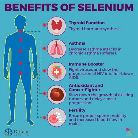 Selenium Supplement Uses