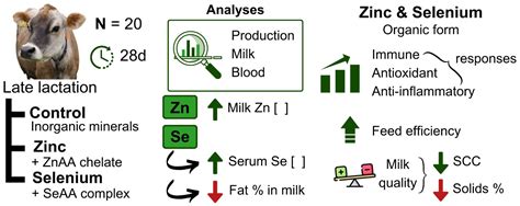 Selenium Supplementation In Dairy Cows