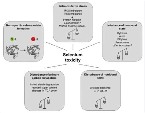 Selenium Toxicity Reddit