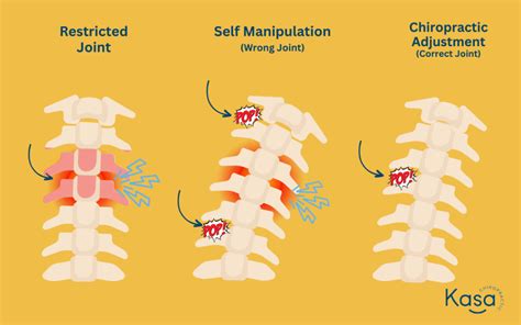 Self Adjusting Chiropractic