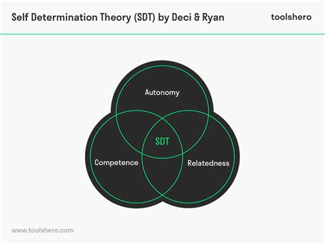 Self Determination Measurement Tool