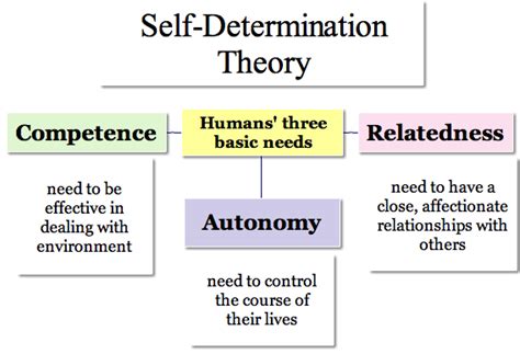 self determination theory examples in workplace