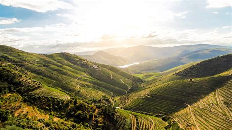 self drive douro valley