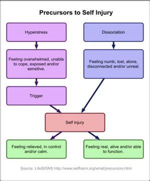 self harming youth vector solutions answers quizlet