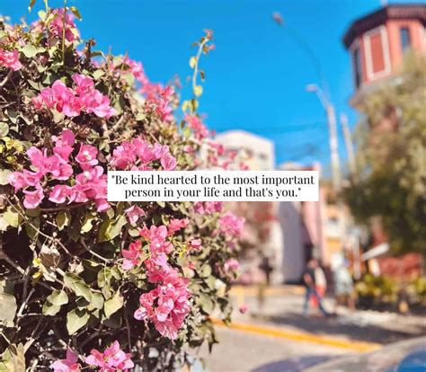 Self Love Quotes Anonymous