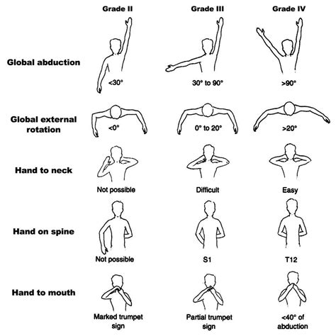 Self Range Of Motion Upper Extremity