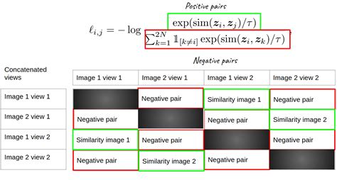 self supervised learning example pytorch