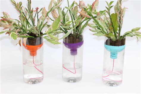Revolutionize Plant Care with Self Watering Pots: Easy and Effective Gardening Solution