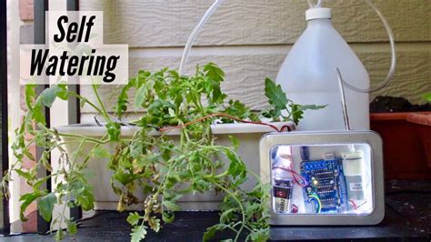 Self Watering System Diy