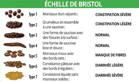 Microbiote et selles Atelier Jeûne et Diététique