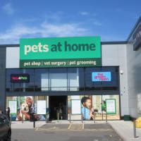 selly oak pets at home
