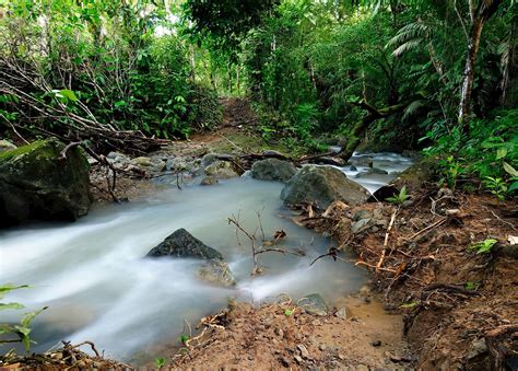 selva de darien panama