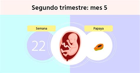 semana 22 de 2021