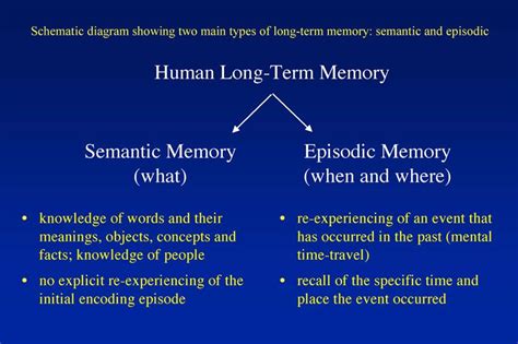 semantic memory example ap psych