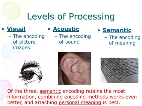 semantic processing meaning in psychology