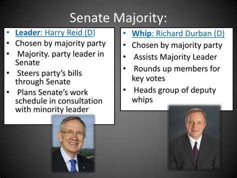 senate majority leader responsibilities