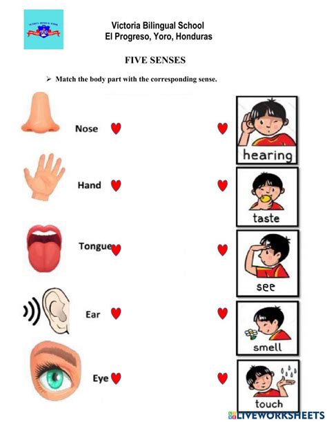 Unlocking the Power of Sences in Modern Marketing Strategies